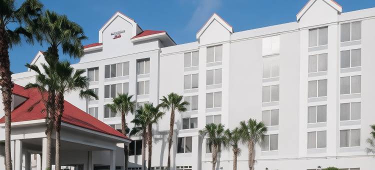 奥兰多莱克布纳维斯塔南SpringHill Suites 酒店(SpringHill Suites Orlando Lake Buena Vista South)图片
