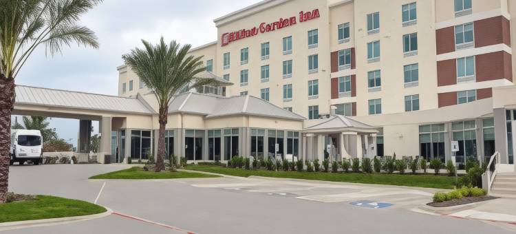 休斯顿霍比机场希尔顿花园酒店(Hilton Garden Inn Houston Hobby Airport)图片