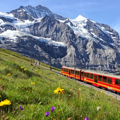 法国+瑞士11日10晚私家团