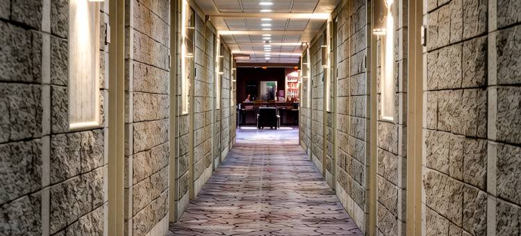 Royal Hotel Calgary, Trademark Collection by Wyndham图片