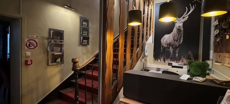 和平旅馆(Auberge de la Paix)图片