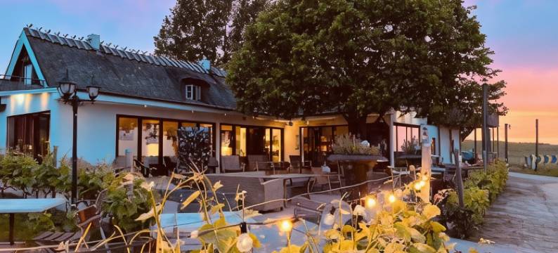 皮勒希尔南海岸酒店(Sydkustens at Pillehill)图片