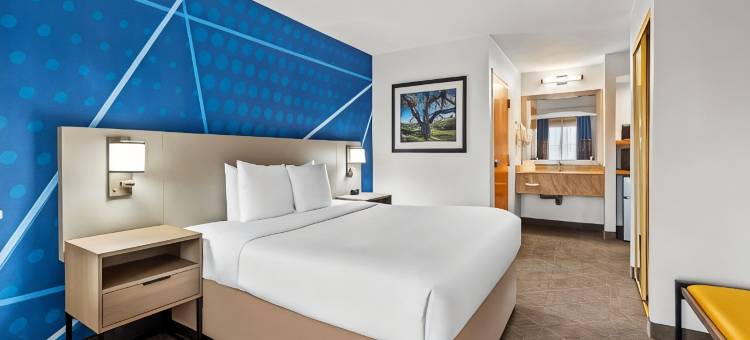 酒店(舒适酒店South San Jose / 摩根山)(Comfort Inn South San Jose - Morgan Hill)图片