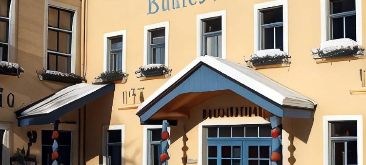 布特斯豪斯厄布格米赫特酒店(Hotel Erbgericht Buntes Haus)图片