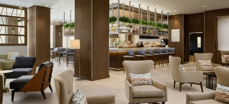 奥斯汀多门威斯汀酒店(The Westin Austin at the Domain)图片