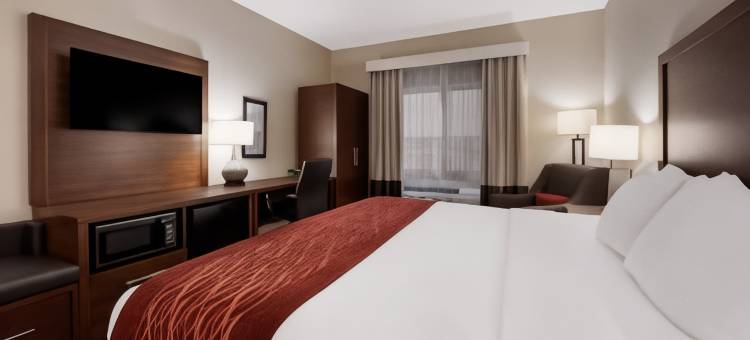 奥那拉斯加拉克罗斯区舒适酒店(Comfort Inn Onalaska - la Crosse Area)图片