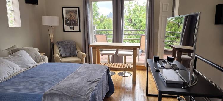 Chicago West Town Row House图片
