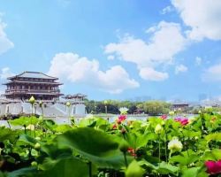Transform into a lotus fairy at Tang Paradise