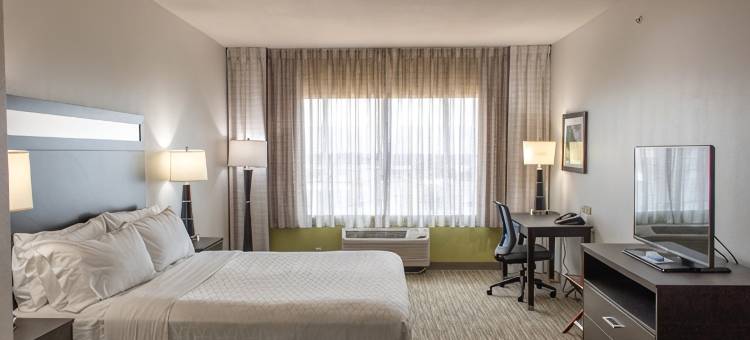 坦普尔医疗中心区智选假日套房酒店(Holiday Inn Express & Suites TEMPLE - MEDICAL CENTER AREA by IHG)图片