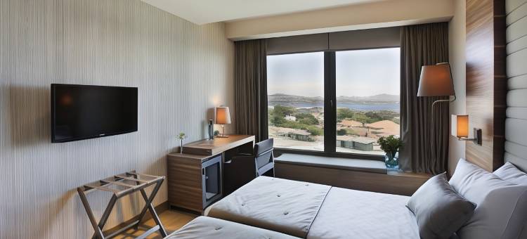 伊斯坦布尔阿卡迪亚蓝色酒店(Hotel Arcadia Blue Istanbul)图片