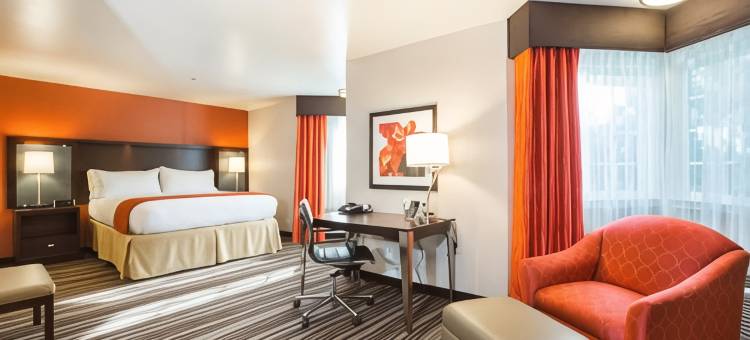 南帕洛阿尔托山景智选假日酒店(Holiday Inn Express Mountain View - S Palo Alto)图片