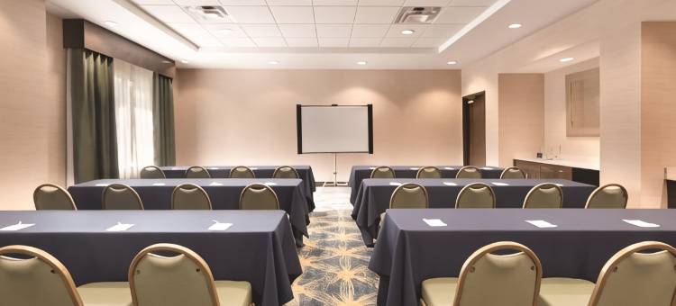 迪美欢朋套房酒店(Hampton Inn & Suites DeLand)图片