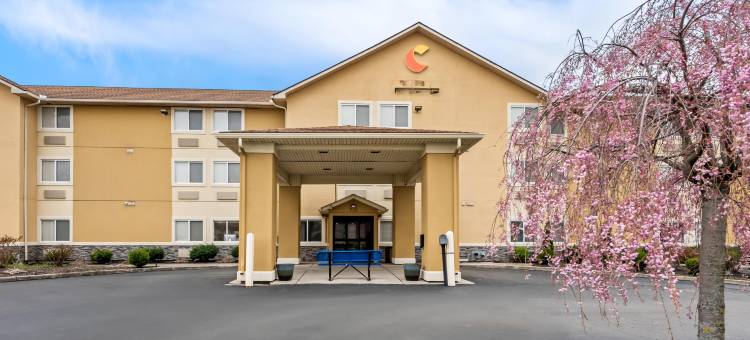 舒适套房酒店-费尔伯恩-近莱特帕特森空军基地(Comfort Inn & Suites Fairborn Near Wright Patterson AFB)图片