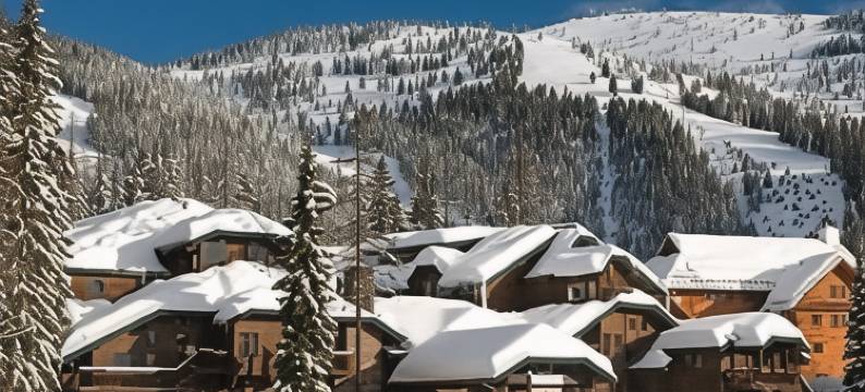 坎达哈白鱼镇小屋酒店(Kandahar Lodge at Whitefish Mountain Resort)图片