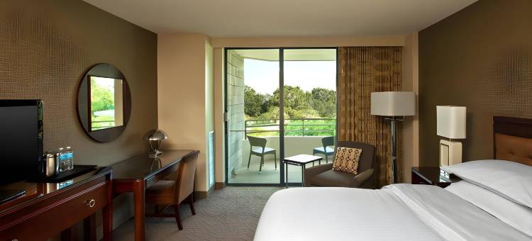 喜来登坦帕布兰登酒店(Sheraton Tampa Brandon Hotel)图片