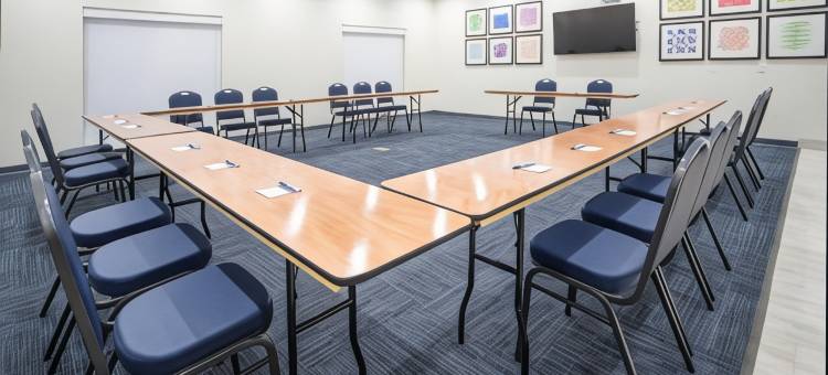 迈尔斯堡机场智选假日套房酒店(Holiday Inn Express & Suites Fort Myers Airport)图片