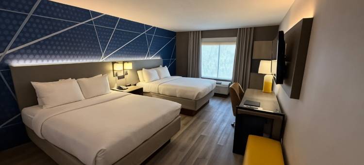 舒适酒店及套房-丹伯里-贝瑟尔(Comfort Inn & Suites Danbury-Bethel)图片