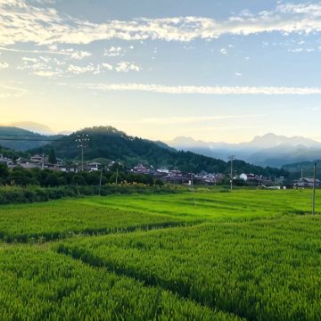 户外活动·安吉3日亲子营，浦江溯源：伐竹、竹筒饭、溯溪、农活体验，隐世安吉竹海！