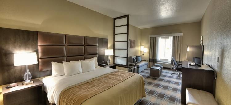 沃斯堡西I-30 NAS JRB的舒适酒店及套房(Comfort Inn & Suites Fort Worth West I-30 Nas JRB)图片