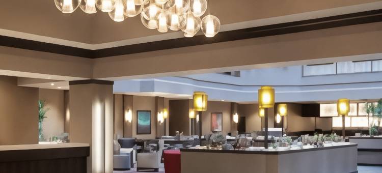 杜勒斯机场希尔顿安泊套房酒店(Embassy Suites by Hilton Dulles Airport)图片