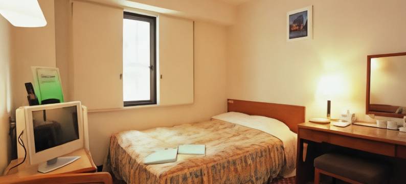 瑞江第一酒店(Mizue Dai-Ichi Hotel)图片