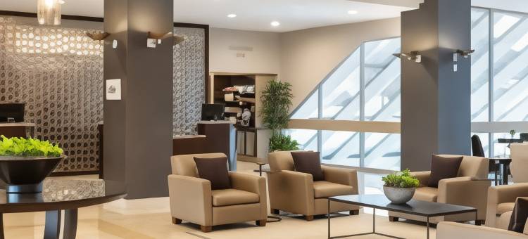 底特律诺维喜来登酒店(Sheraton Detroit Novi Hotel)图片