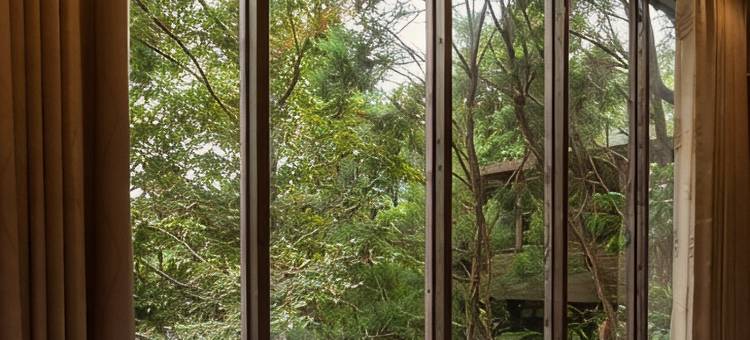 苗栗卓也小屋图片