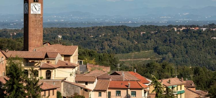 Barbera in Villa Pesce图片