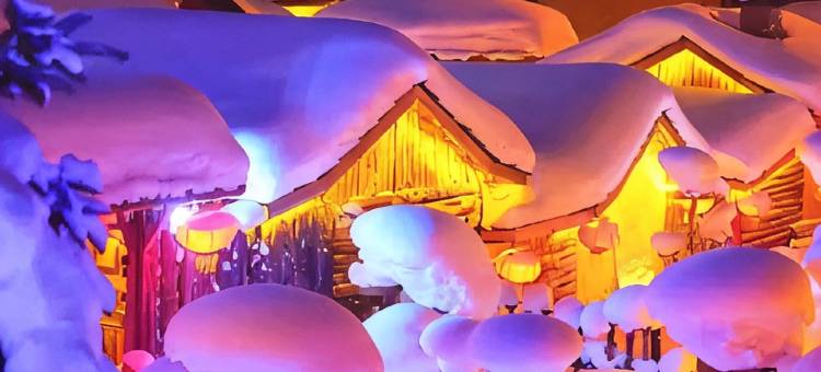 雪谷·瑞雪Snow·冬月绘漫旅行美宿(雪谷风景区店)图片