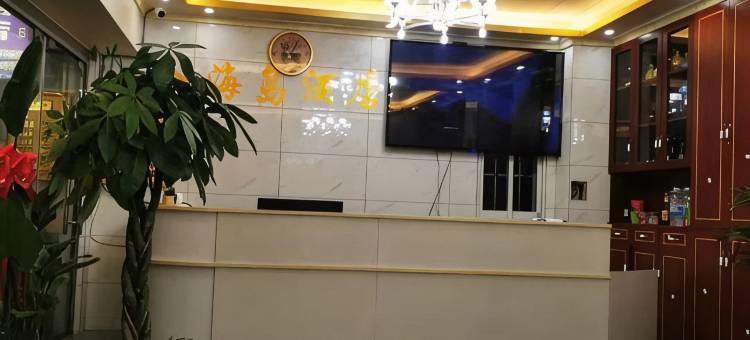 宁南金海岛酒店(白鹤滩镇店)图片