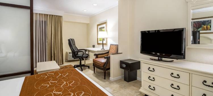天堂岛舒适套房酒店(Comfort Suites Paradise Island)图片