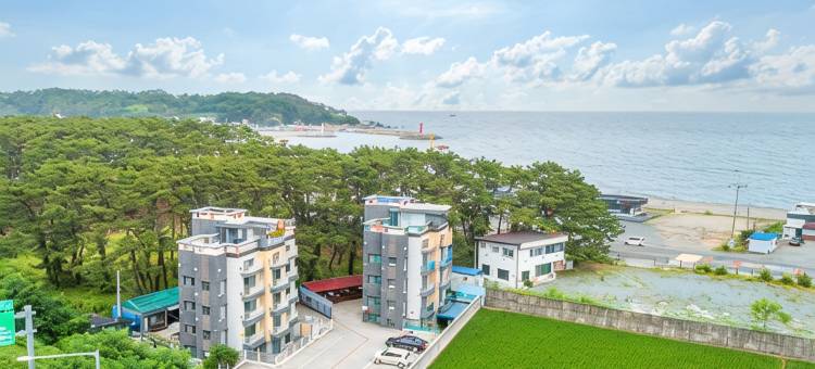 甘浦恩索家庭旅馆(Gampo Eunsol Family Pension)图片