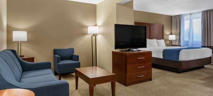 绿色田野村落舒适酒店(Comfort Inn Near Greenfield Village)图片