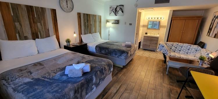 萨塞克斯汽车旅馆(Sussex Motel)图片