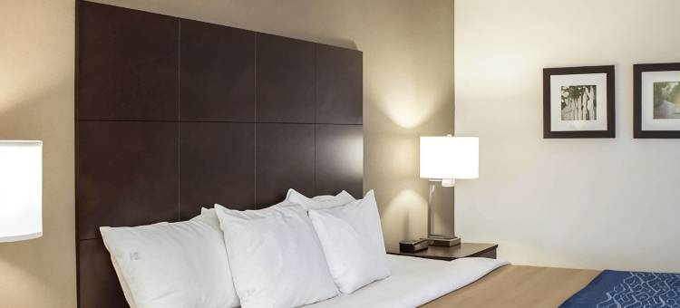 富基瓦里纳舒适套房酒店(Comfort Inn & Suites Fuquay Varina)图片