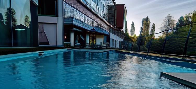 佩纳菲耶尔公园Spa酒店(Penafiel Park Hotel & Spa)图片