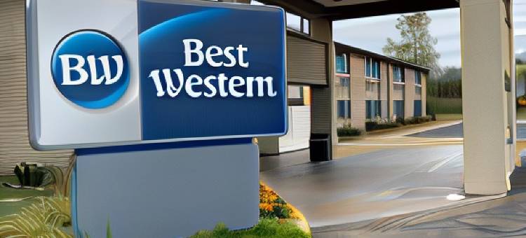 芒特吉利阿德贝斯特韦斯特行政酒店(Best Western Executive Inn)图片