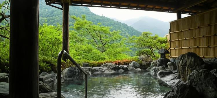 汤元新祖谷温泉蔓桥酒店(Hotel Kazurabashi)图片
