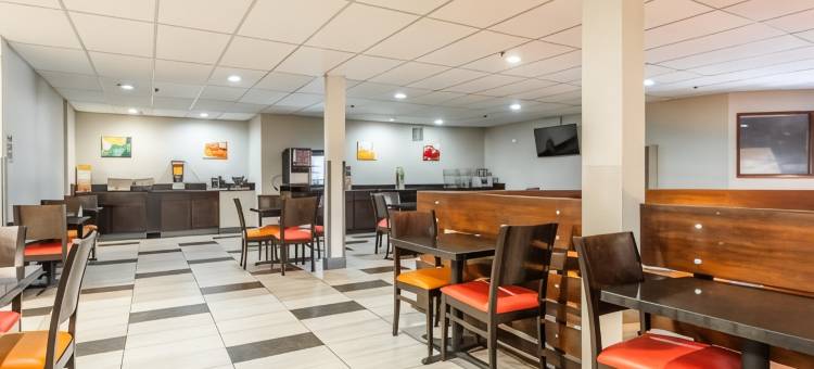 凯艺酒店-近马默斯山滑雪度假村(Quality Inn Near Mammoth Mountain Ski Resort)图片