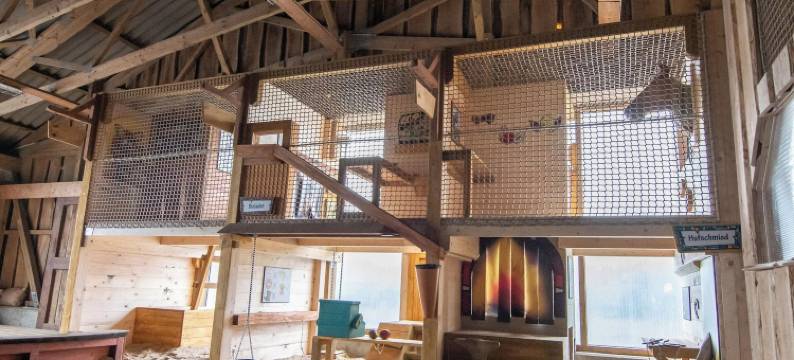 伯恩斯坦兰德希尔斯堡(Bernsteinland Hirschburg)图片