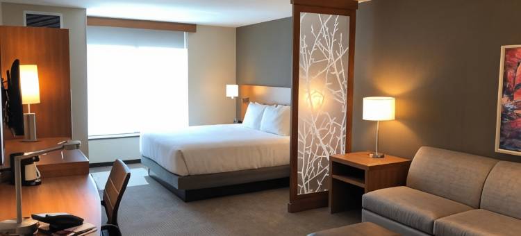 圣乔治凯悦嘉轩酒店-会议中心(Hyatt Place St George/Convention Center)图片