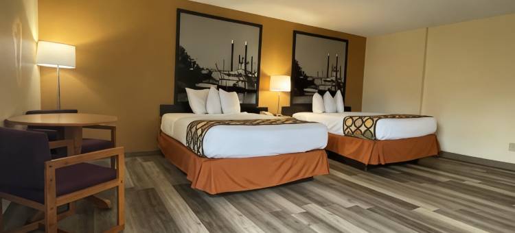 佩韦利温德姆速8酒店(Super 8 by Wyndham Pevely)图片