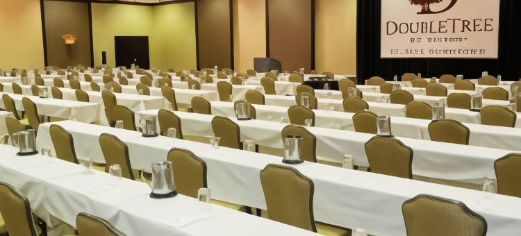 圣保罗市区希尔顿逸林酒店(DoubleTree by Hilton St Paul Downtown)图片