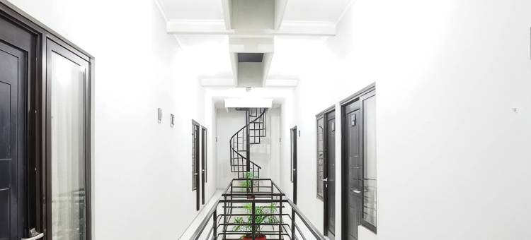 Dparagon 德维科拉(Dparagon Dwikora)图片