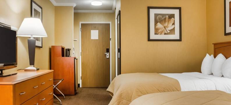 河滨凯隆套房酒店(Clarion Hotel & Suites Riverfront)图片