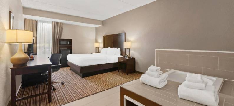 舒适酒店-利哈伊山谷西部(Comfort Inn Lehigh Valley West)图片