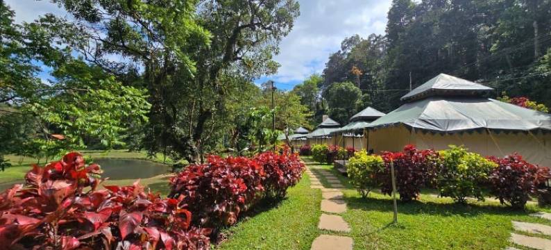 三山酒店-库格(Three Hills Resort Coorg)图片