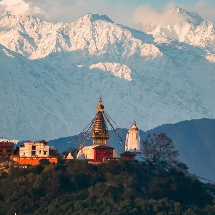 尼泊尔加德满都+奇特旺国家公园+蓝毗尼+博卡拉+萨朗科8日7晚跟团游