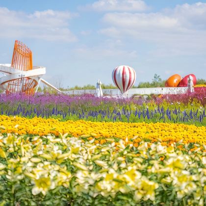 扬州+盐城5日4晚私家团