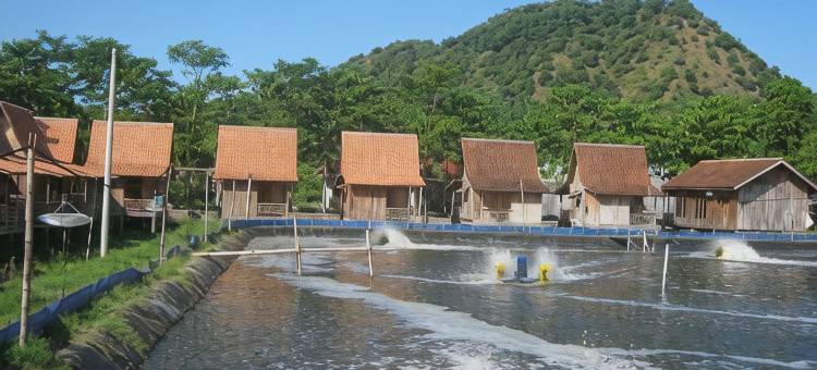 柬埔寨尼拉扬酒店(Kampong Nelayan Resort)图片